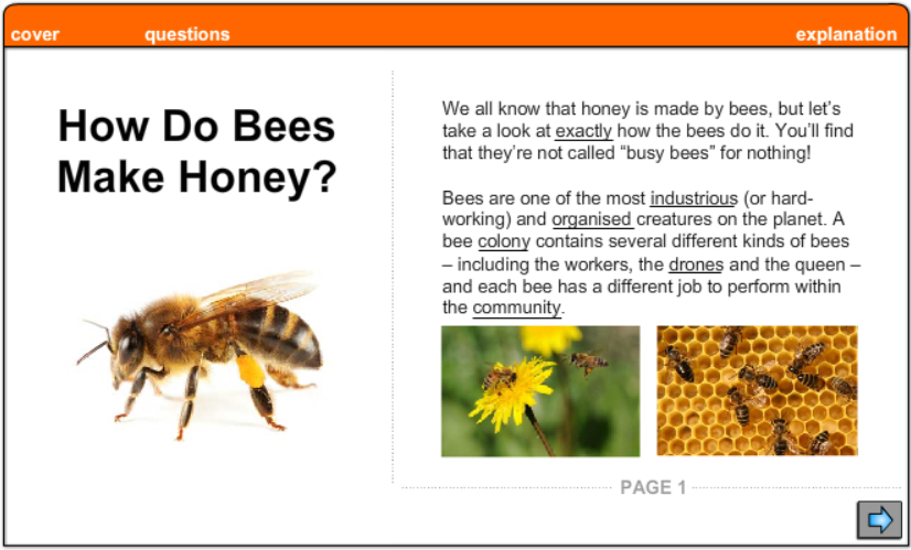 How Do Bees Make Honey Explanation Writing