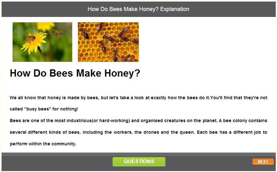 how-do-bees-make-honey-explanation-english-skills-online-interactive