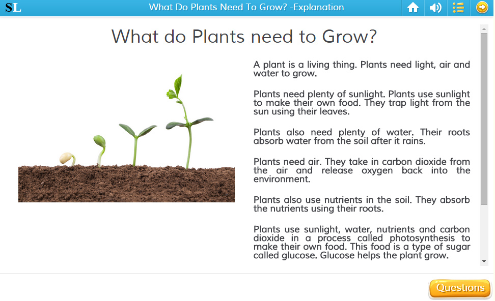What Do Plants Need To Grow? Explanation, English skills online