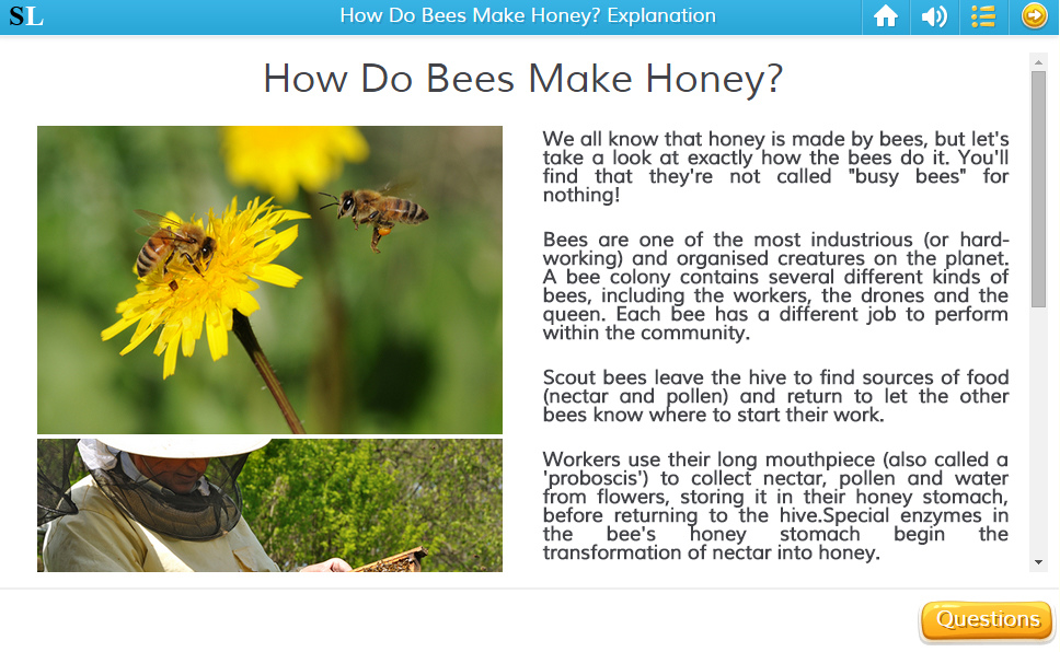 how-do-bees-make-honey-explanation-english-skills-online-interactive