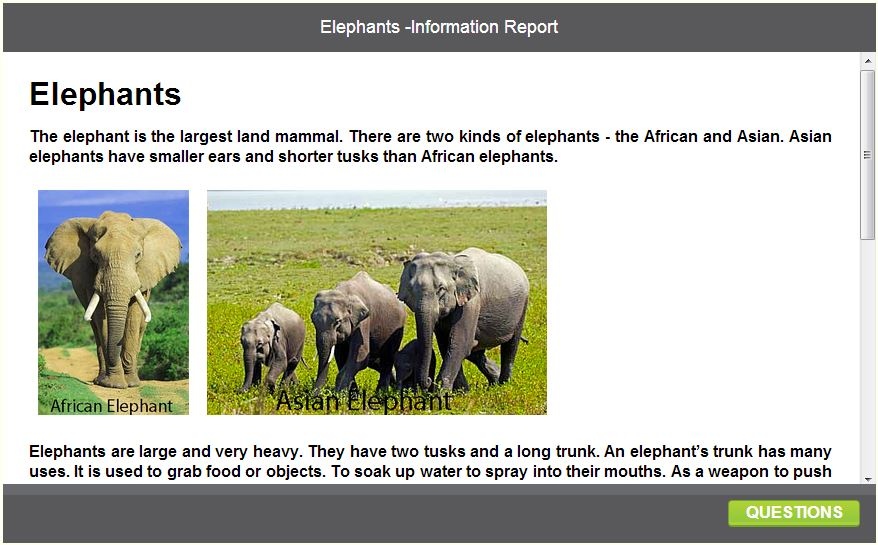 Elephants Information Report English Skills Online Interactive 