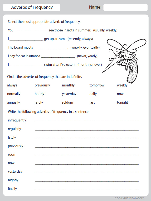 Adverbs Of Frequency Worksheet Grade 2