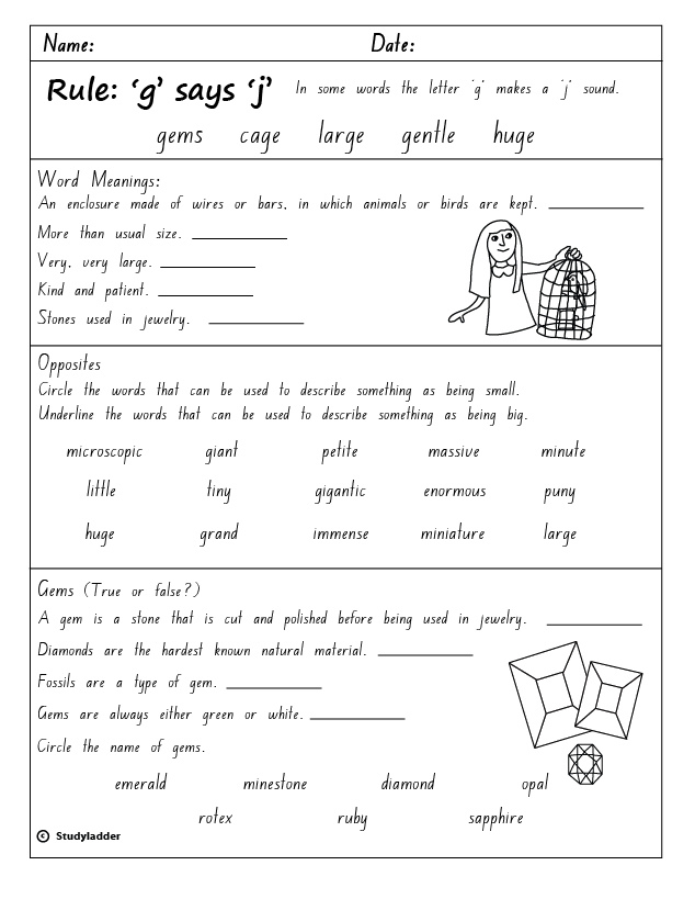 rule g says j studyladder interactive learning games