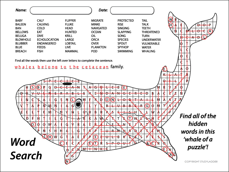 Word Search Solutions Whales Worksheet Studyladder Interactive Learning Games