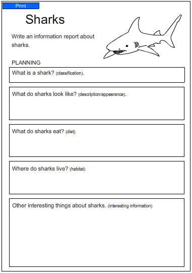 shark typing tutor