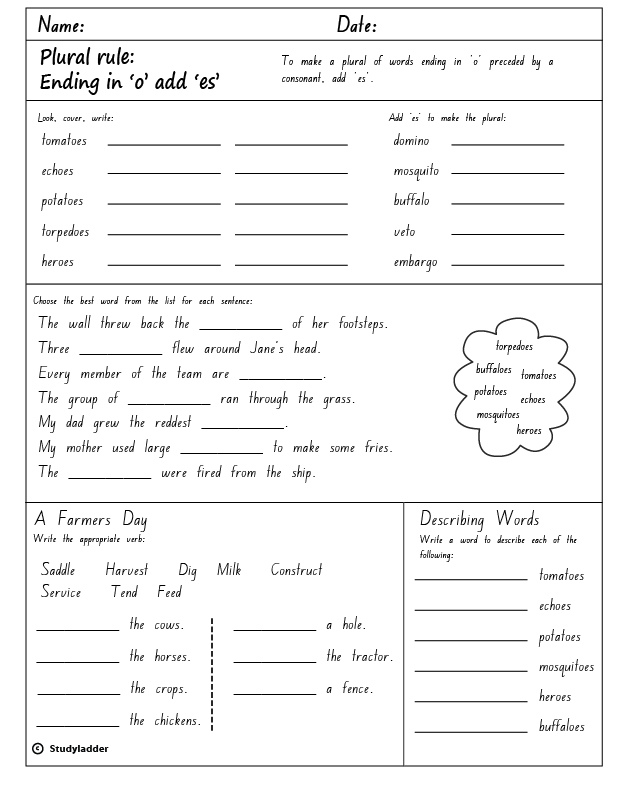 plural-nouns-ending-in-y-worksheet