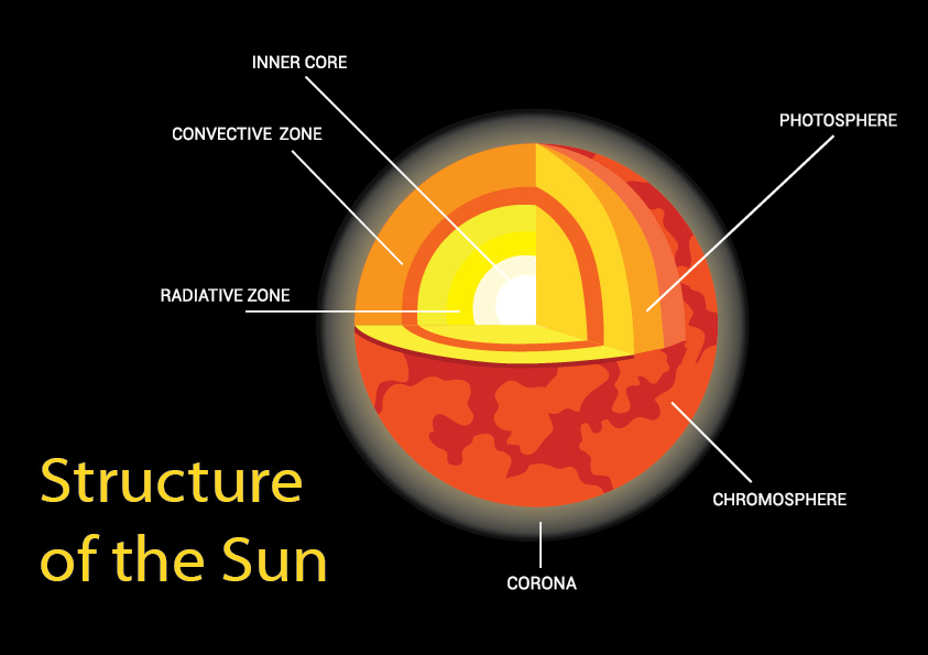 Structure Of The Sun Diagram Stock Vector Illustratio - vrogue.co