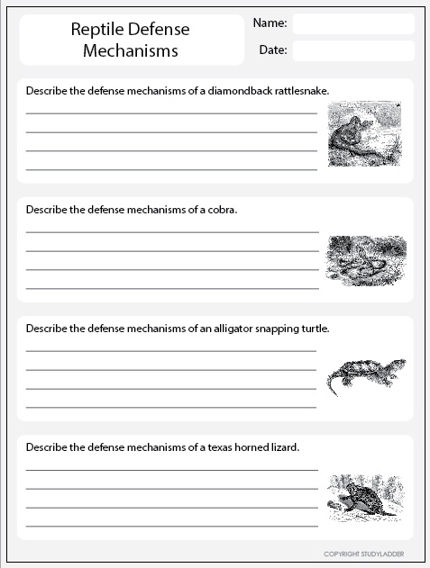 Defense Mechanisms Worksheet Addiction