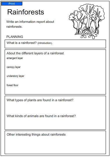 a report about rainforests studyladder interactive