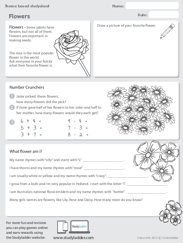 Flowers - Studyladder Interactive Learning Games