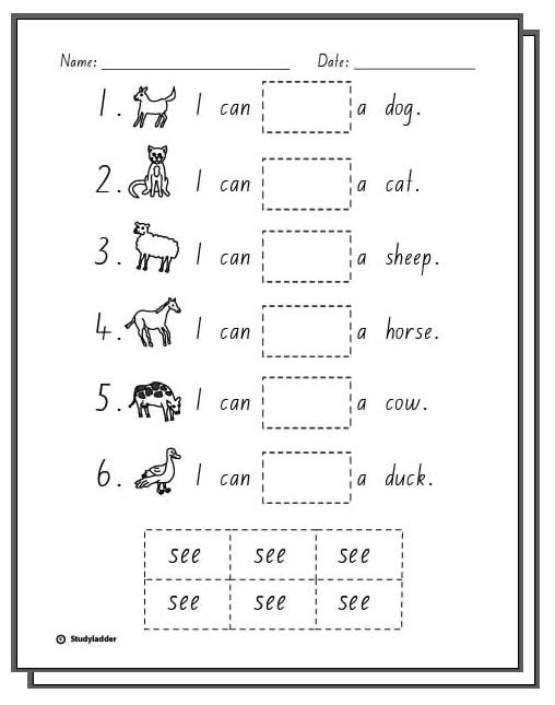 What Can You See Response Activity Sheets Studyladder Interactive