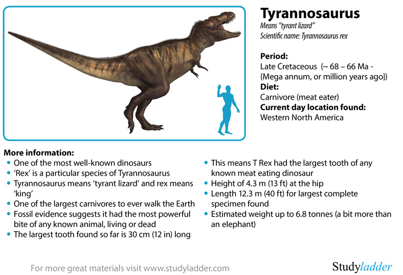  T-Rex: Tyrannosaurus Dinosaur Facts and Information