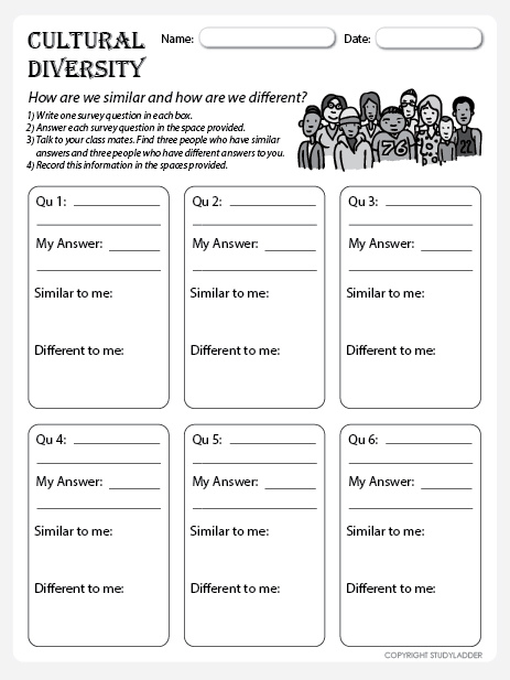 Cultural Diversity Survey Sheet - Studyladder Interactive Learning Games