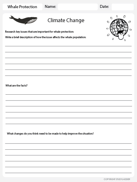 Climate Change Activity Worksheet