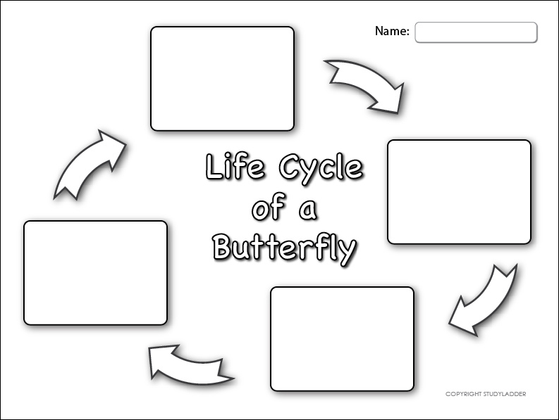 life-cycle-of-a-butterfly-sheet-1-studyladder-interactive-learning-games