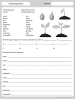 Spelling Worksheets and English for Grade 4
