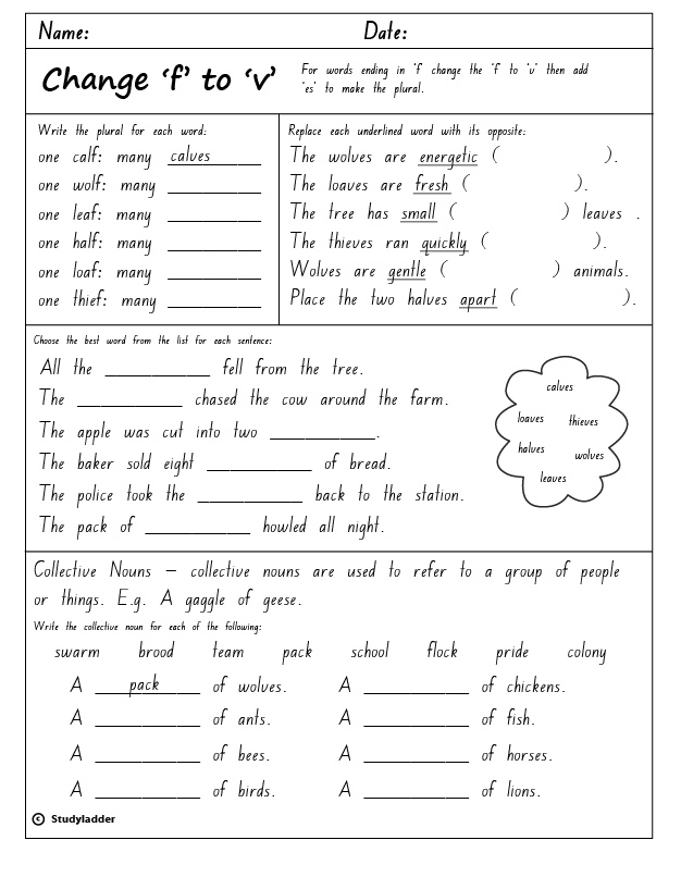 Plural Nouns F To Ves Worksheet