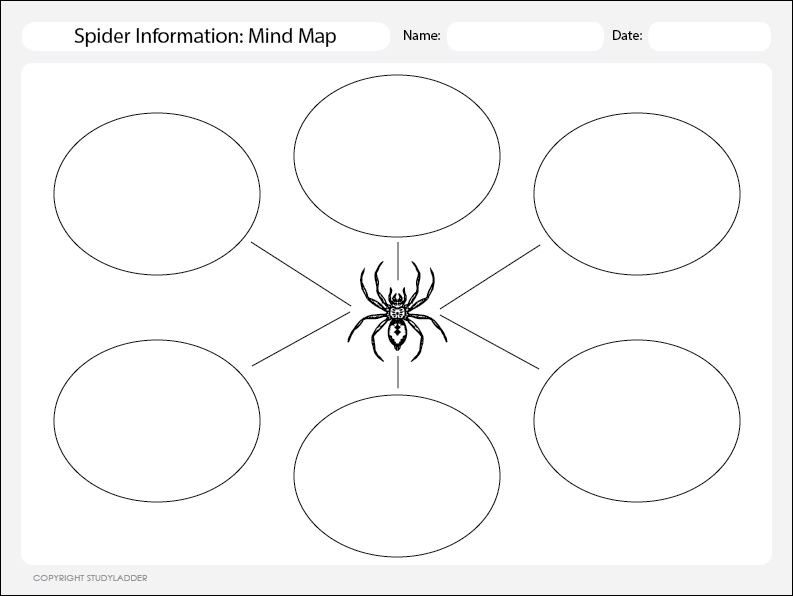 Blank templates for mind mapping free elementary education