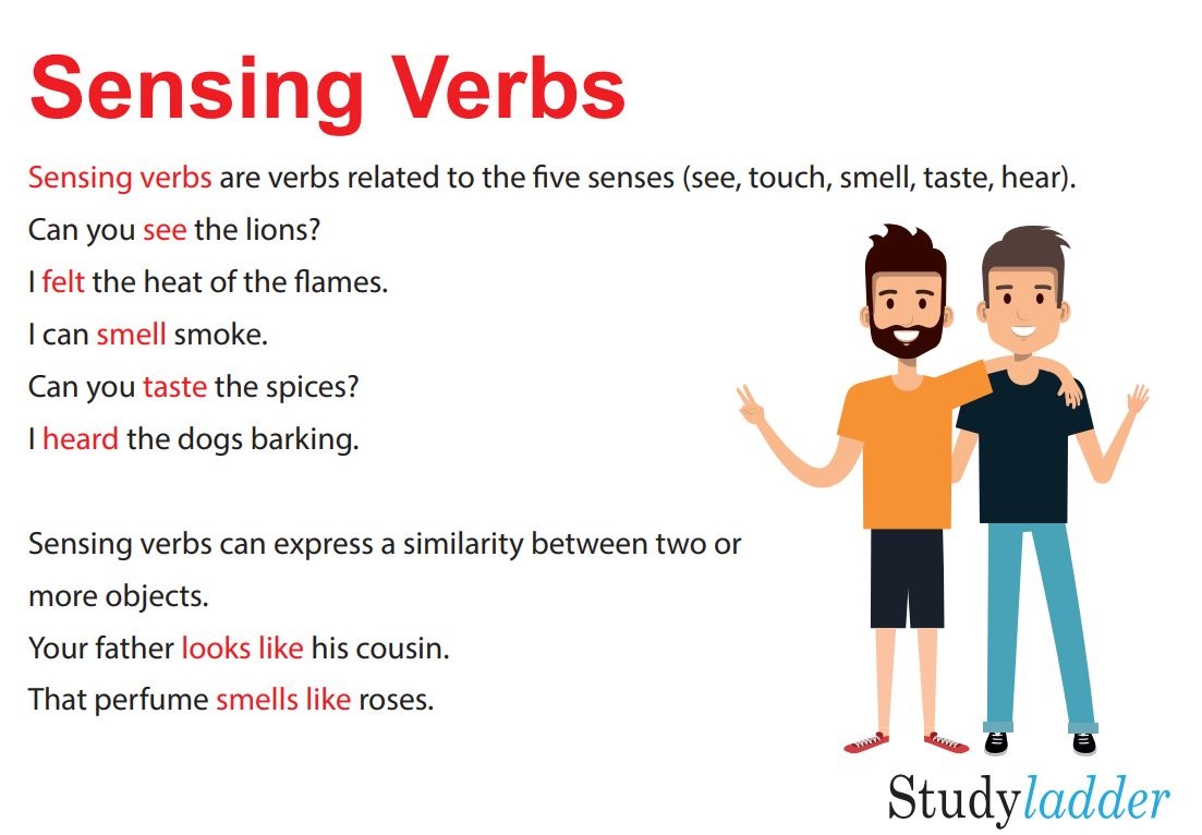 Sensing Verbs Examples