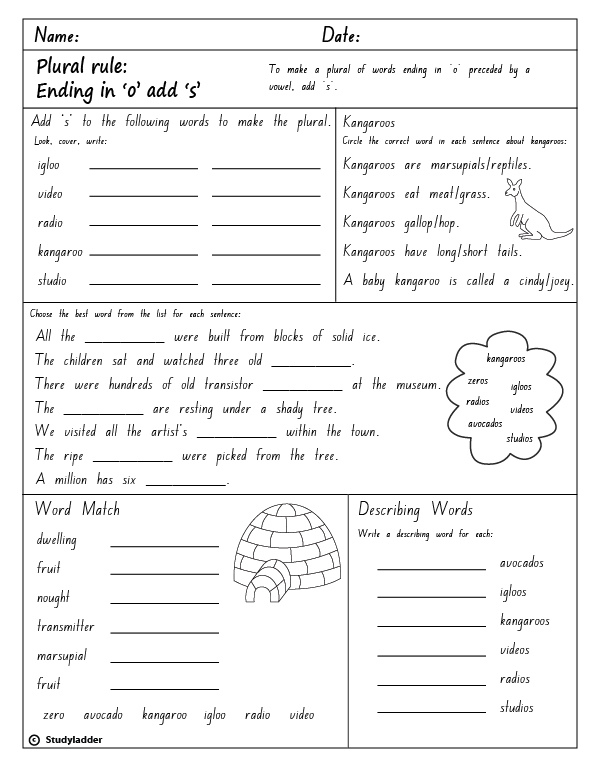 plural-rule-ending-in-o-add-s-studyladder-interactive-learning