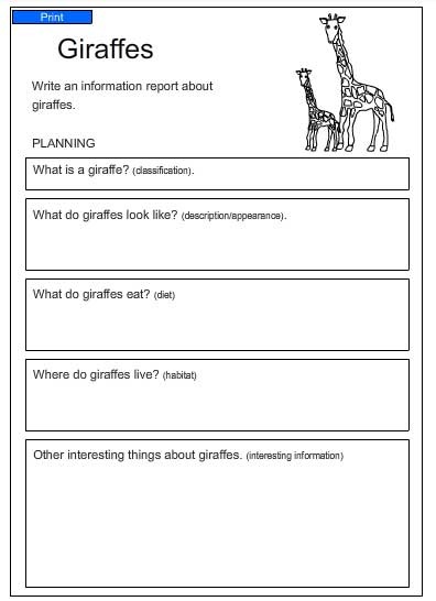 A Report about Giraffes - Studyladder Interactive Learning Games