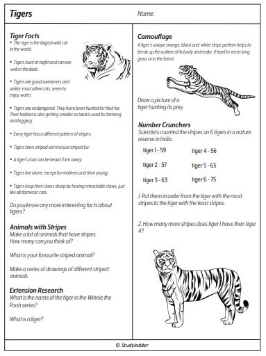Tigers - Studyladder Interactive Learning Games