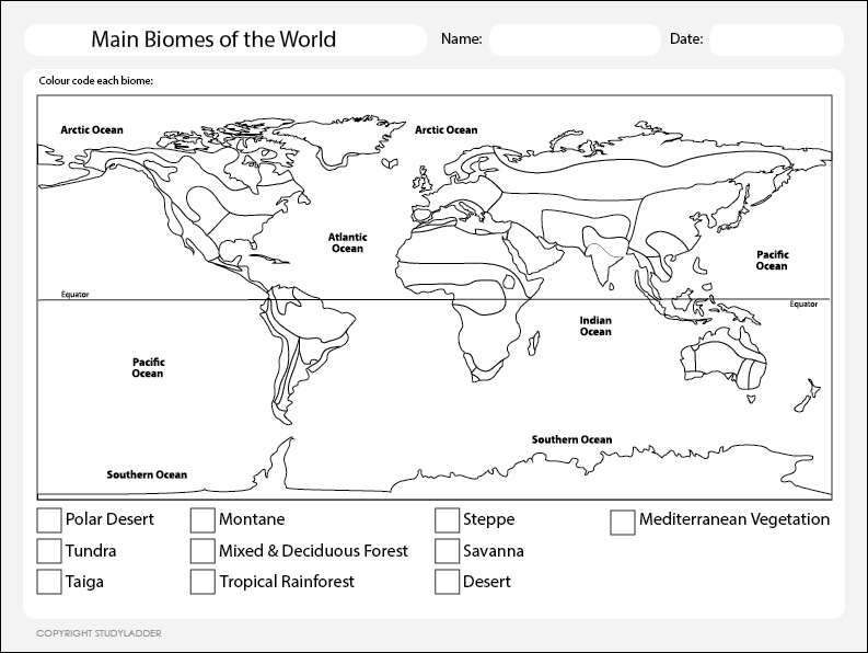 Biomes Of The World Worksheet