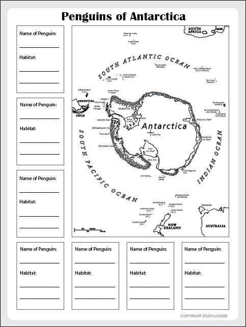 Penguin Habitats Of Antarctica Worksheet Studyladder Interactive 