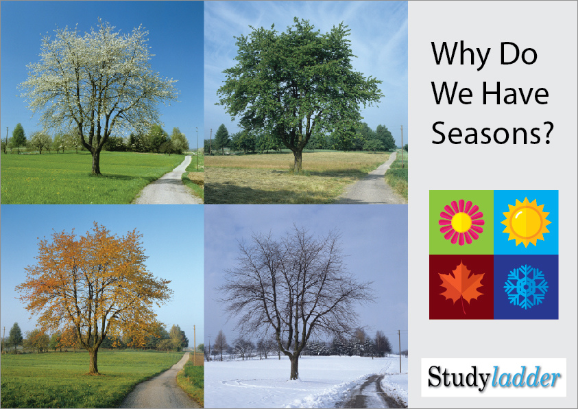 Why Do We Have Seasons?