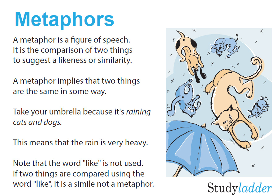 is raining cats and dogs a metaphor