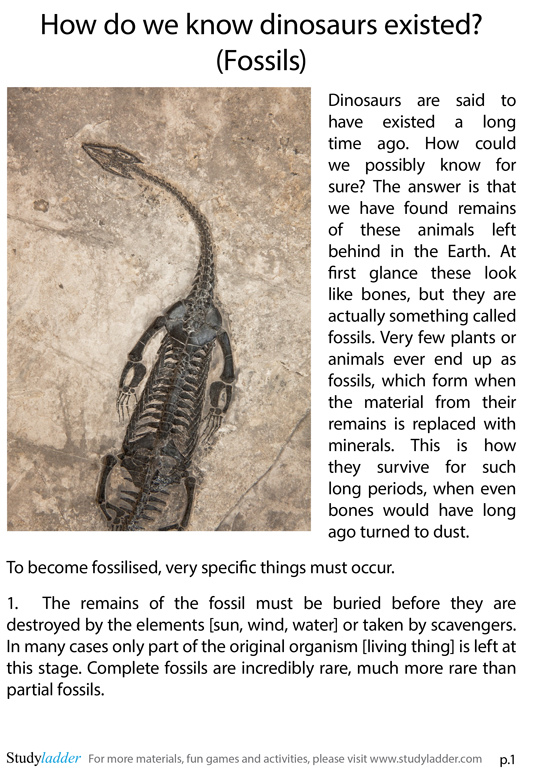 how-do-we-know-dinosaurs-existed-fossils-2-pages-studyladder